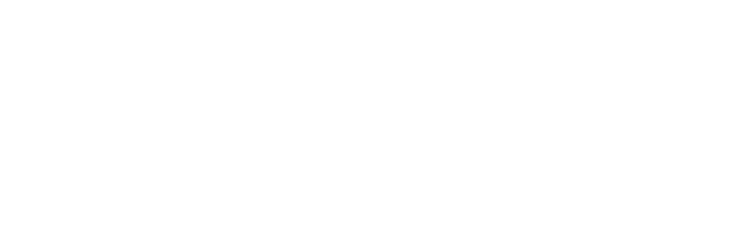 BWM Electronics